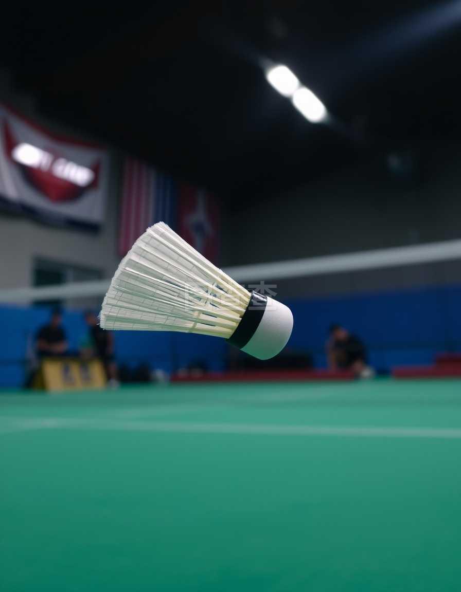 技能的提高 技能的提高